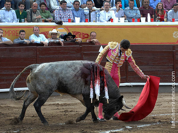 Naturales de terciopelo