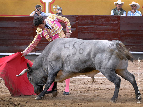 Probando por el derecho