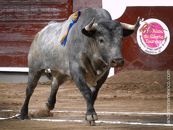 Inicia la segunda de Carnaval