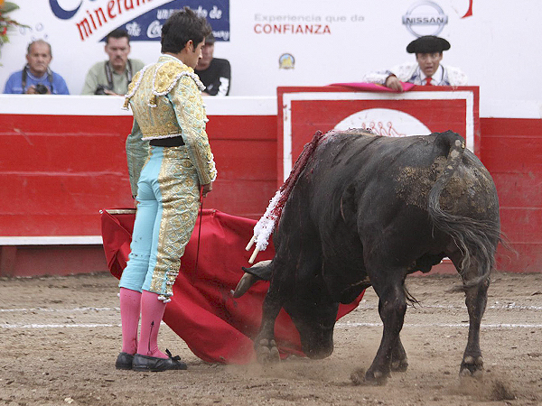 Gust�ndoce con la muleta