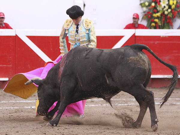 Estoico ante el astado