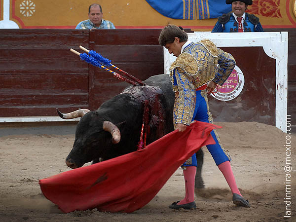 Dejando caer el enga�o