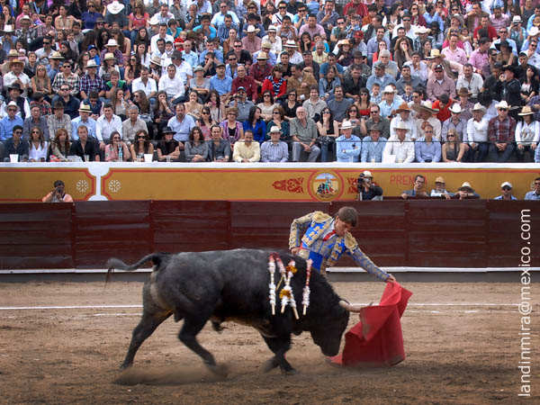 Impresionantes ol�s