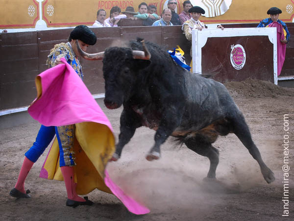 Barba abre el festejo
