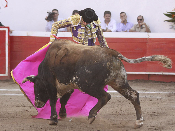 Talavante, por chicuelinas