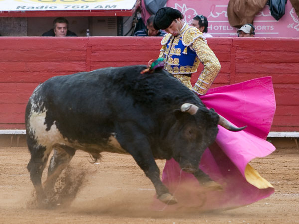 Verticalidad en la media ver�nica