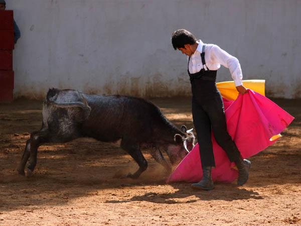 Importancia a los quites