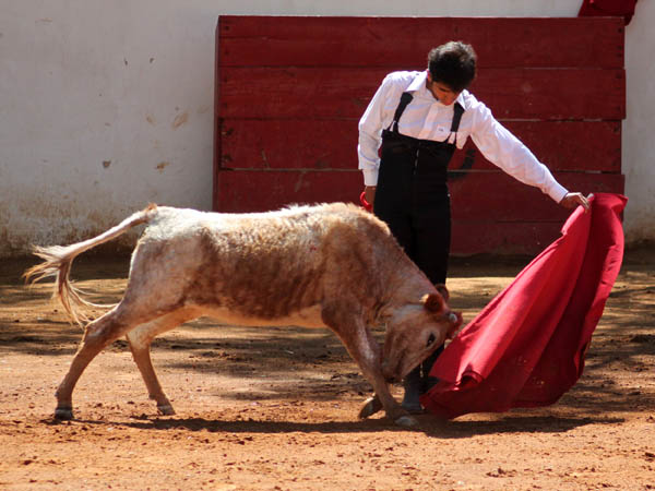 Naturales a media altura