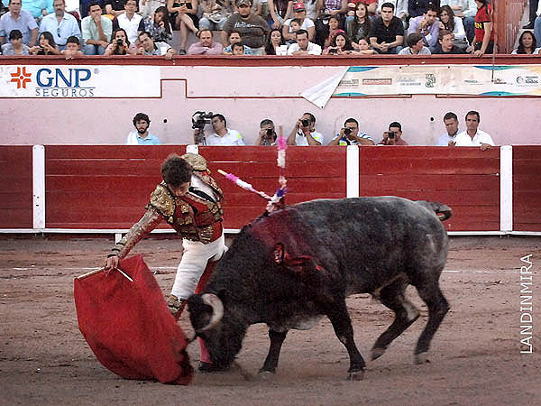 Vendajes en la taleguilla