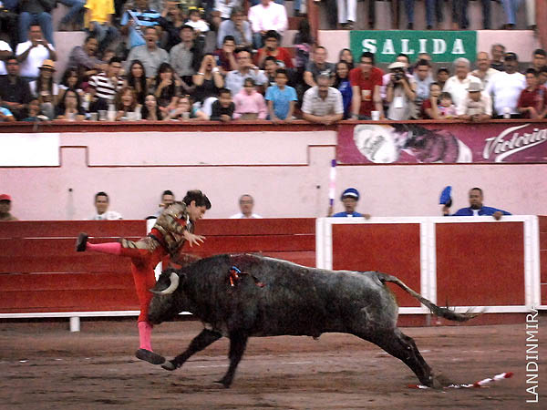 Lo alcanz� en banderillas