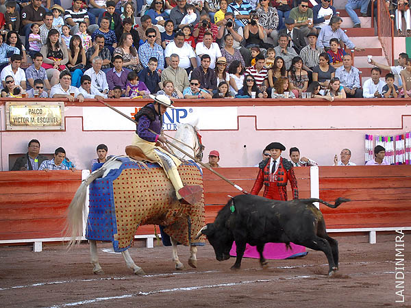 Javier, en todo lo alto