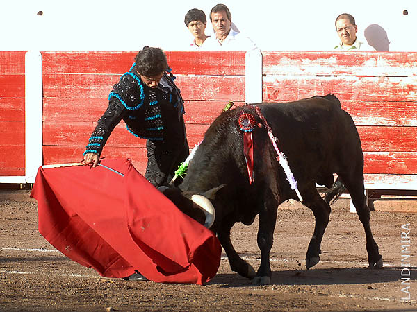 Bajo la mirada de Fer Lozano