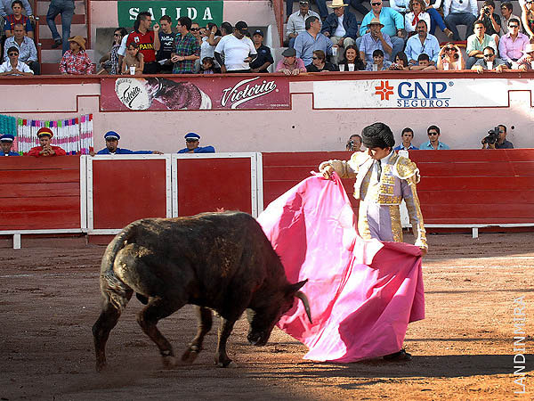 Inicia la 2a novillada