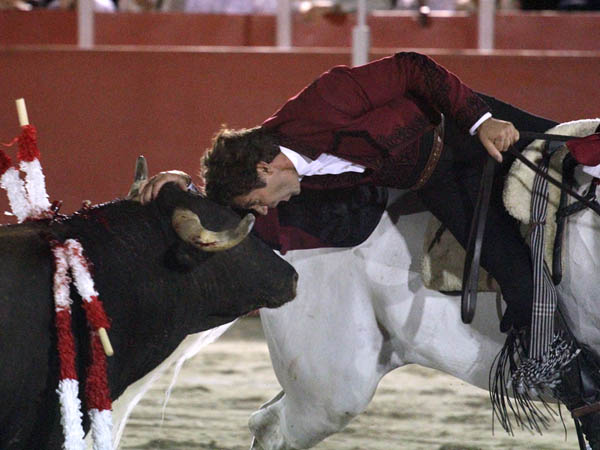 Desplante de caballista