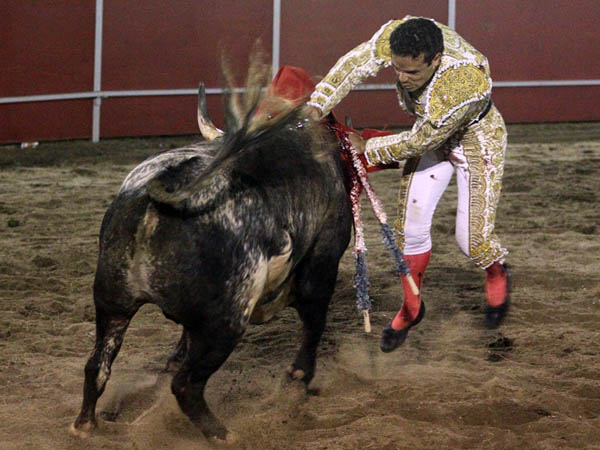 Hasta la empu�adura