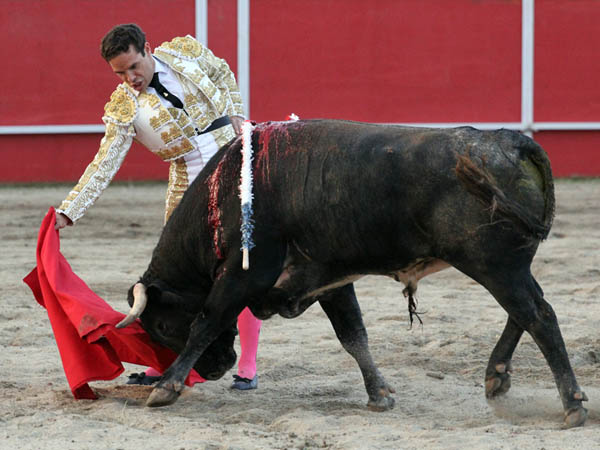 Tirando del ejemplar