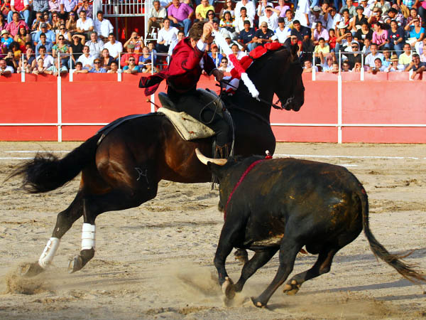 La vista en el morrillo