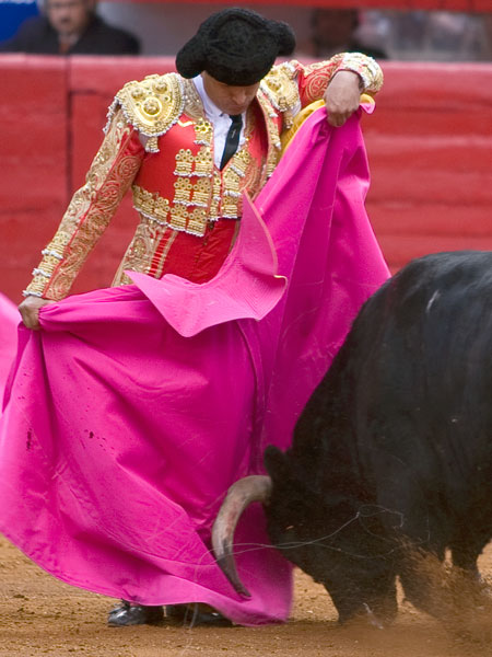 Tragando en la chicuelina