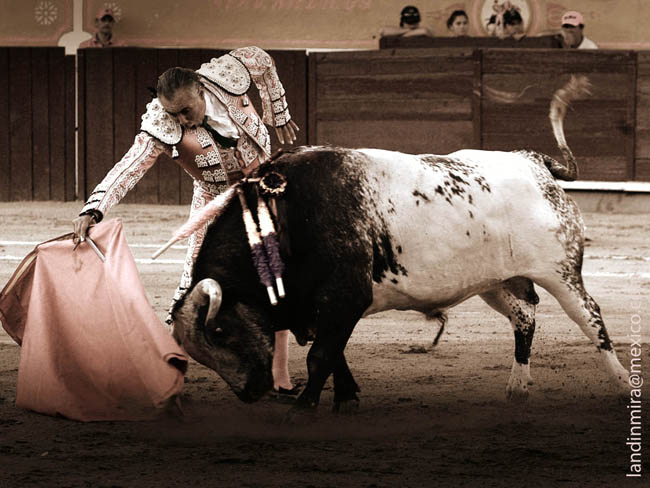 Expresi�n mexicana del toreo