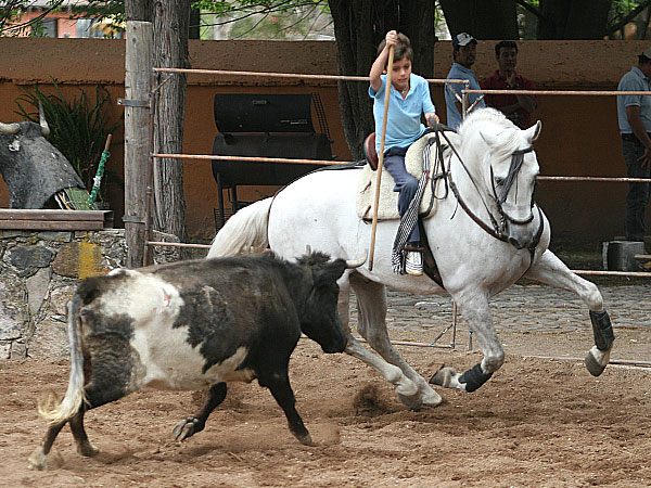 Guillermo alzando el brazo