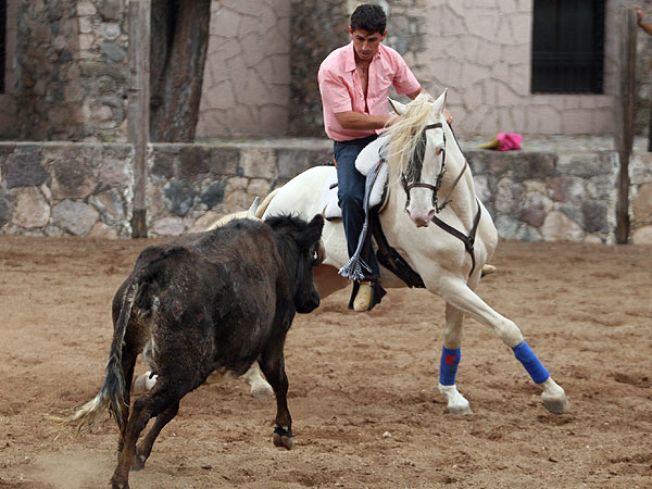 Luis Pimentel  a la grupa