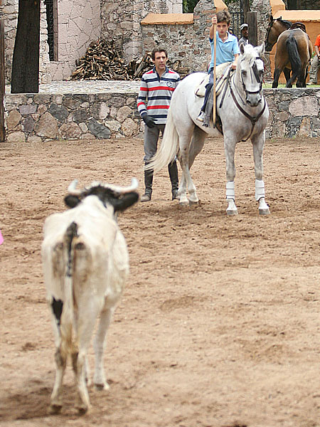 Pablo ense��ndole a Guillermo