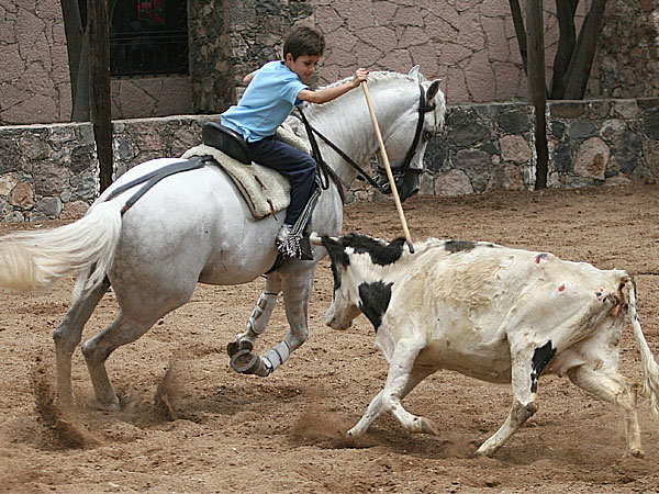 Guillermo d�ndole ventajas