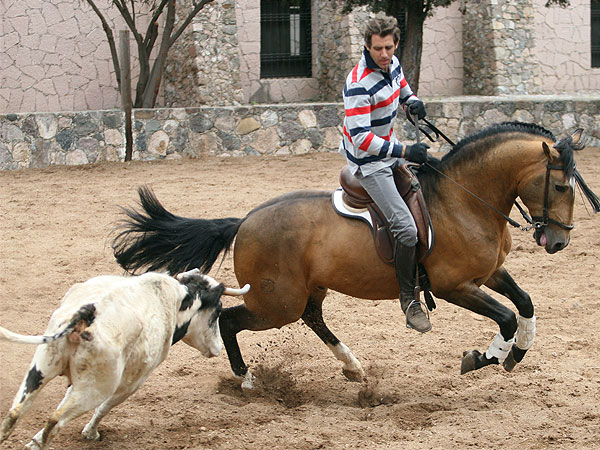 Pablo y el fant�stico Silveti