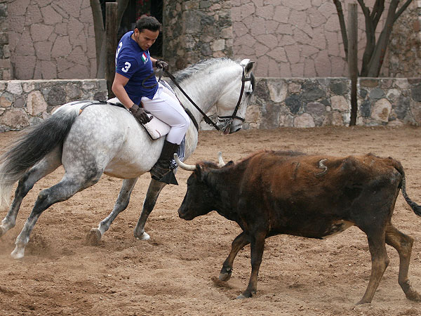 Efr�n Garc�a Mena  lidiando