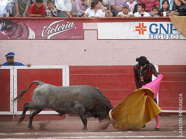 Se present� Salguero en 