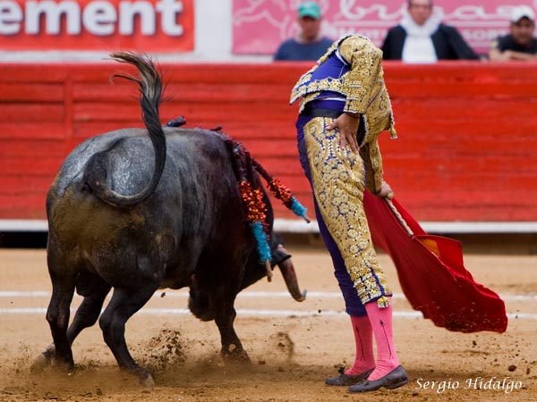 Un toro con mucha transmisi�n