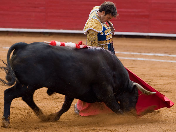 El trincherazo mand�n