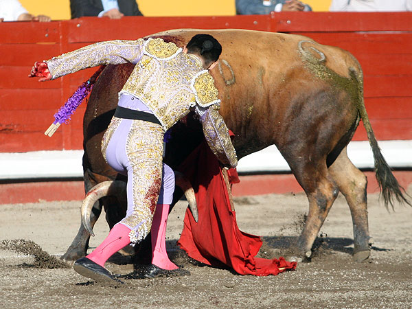 Dobl�ndose al final de la faena