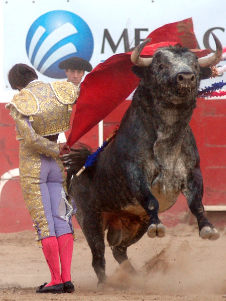 Manoletina de altos vuelos