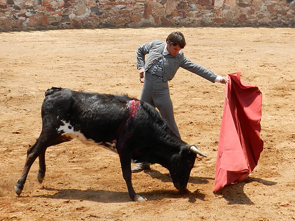 Fabi�n, en acci�n