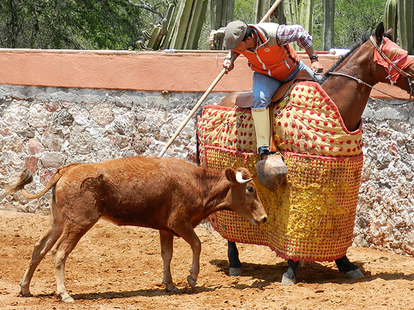 C�sar Morales, picando