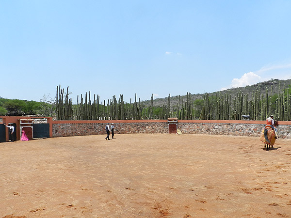 El tentadero en Jaral de Pe�as