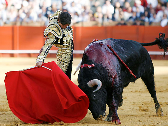 El trazo de Castella