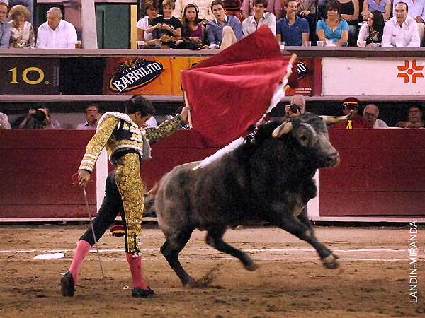 La nueva generaci�n del Arte