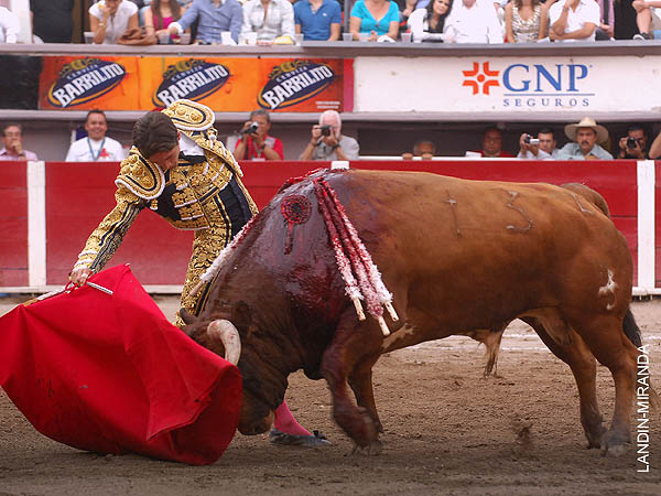 Prodig� toreo de clase