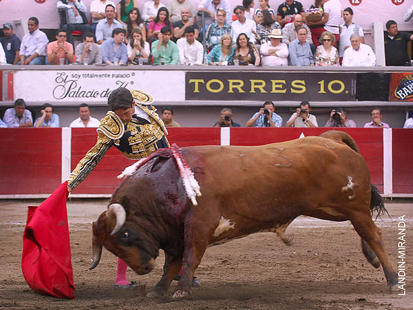 El ejemplar, magn�fico colaborador