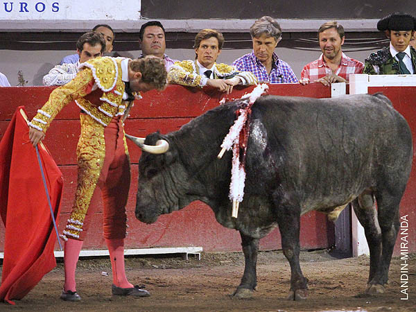 Magn�fico quorum en el desplante