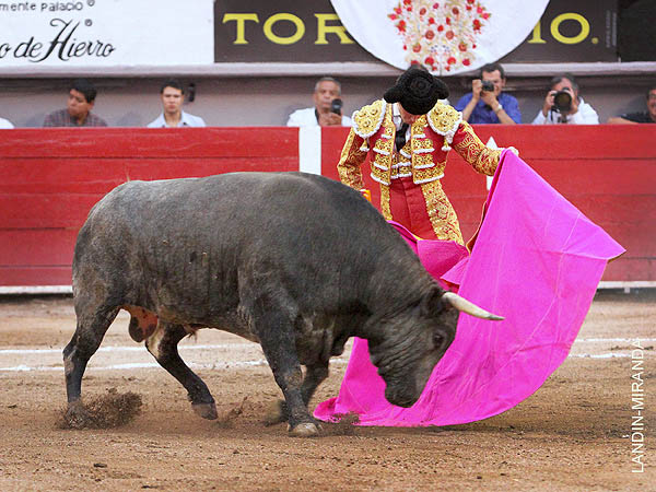 Payo le sac� lustre al sexto