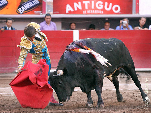 Reciedumbre may�scula