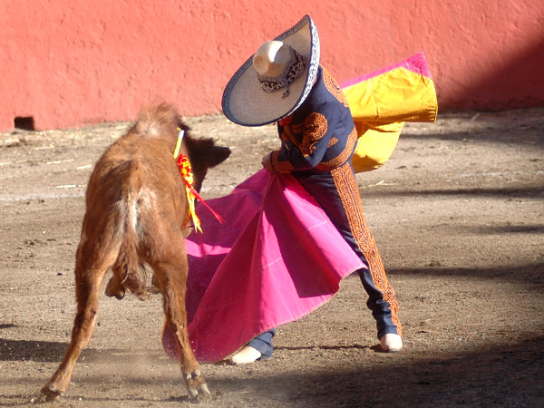La escuela mexicana del toreo