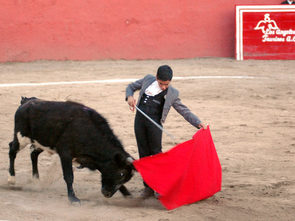 Buenas maneras del venezolano