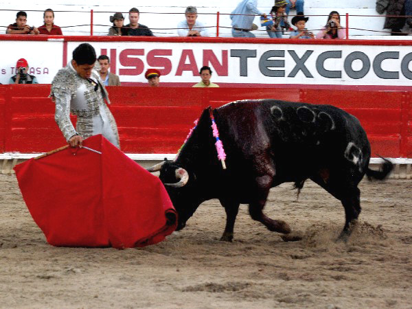 Con suavidad y pulso