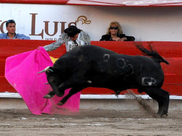 Las manitas por delante