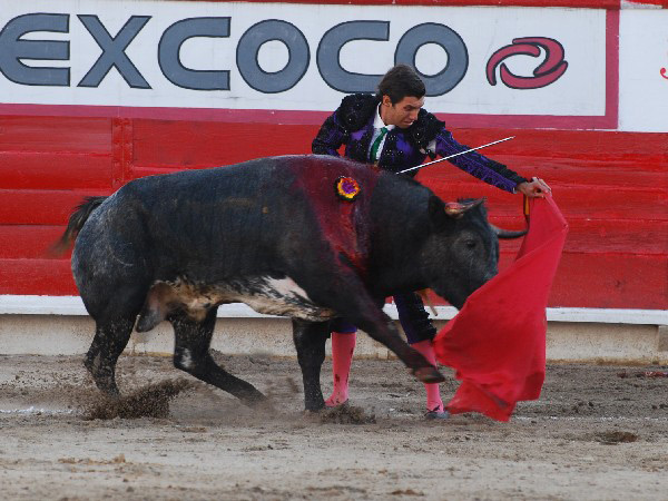 Una embestida descompuesta