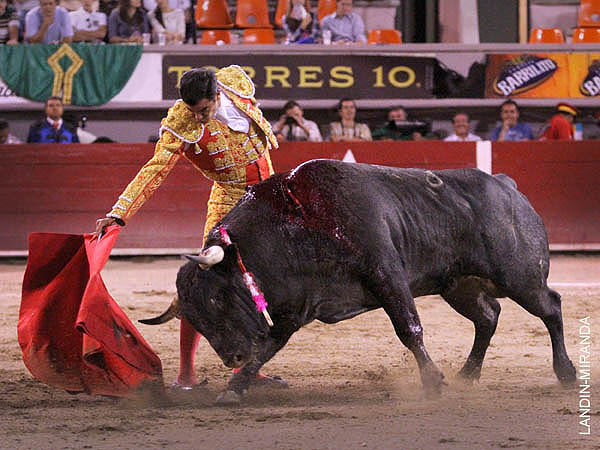 Pocas embestidas en el regalo